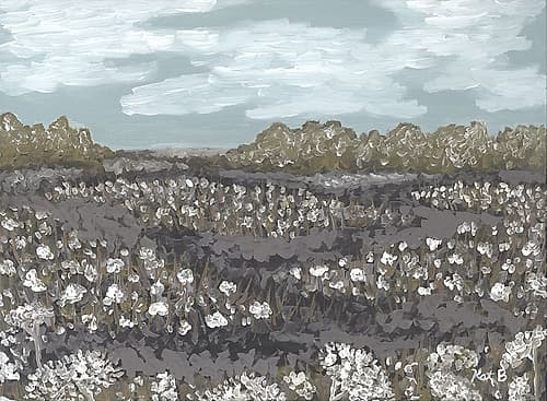 Black Creek Art Print