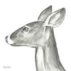 Watercolor Pencil Forest VII-Doe Art Print