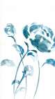 Blue Peonies II Art Print