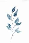Farmhouse Leaves blue II Botanical Print