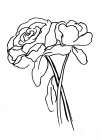 Hand Sketch Roses III Art Print
