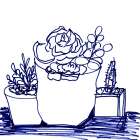 Hand Sketch Succulents blue Botanical Print