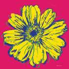 Flower Pop Art IV Art Print