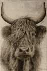 Highland rustic portrait Art Print