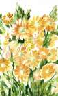 Daisies in Yellow Art Print
