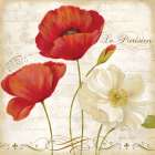 Paris Poppies II Art Print