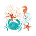 Coral Aqua VII Art Print