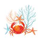 Coral Aqua VIII Art Print