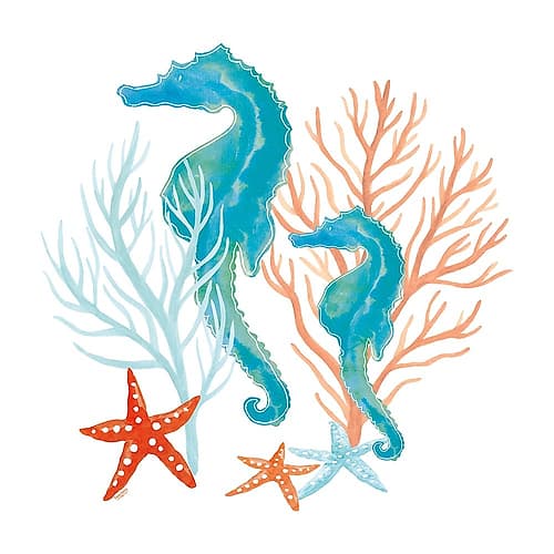 Coral Aqua XII Art Print