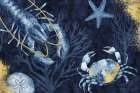 Deep Blue Sea III on Blue Gold Art Print