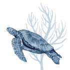 Deep  Blue Sea XVIII Art Print