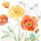 Happy Poppies IV Art Print