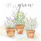 Let it Grow III Art Print