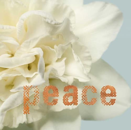 Peace Blossom Art Print by Julie Greenwood