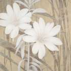 Modern White Blossoms Art Print by Ivo Stoyanov