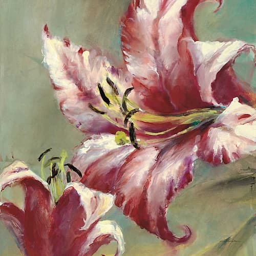 Blooming Lily Art Print by Brent Heighton