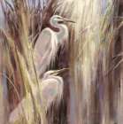 Seaside Egrets Art Print