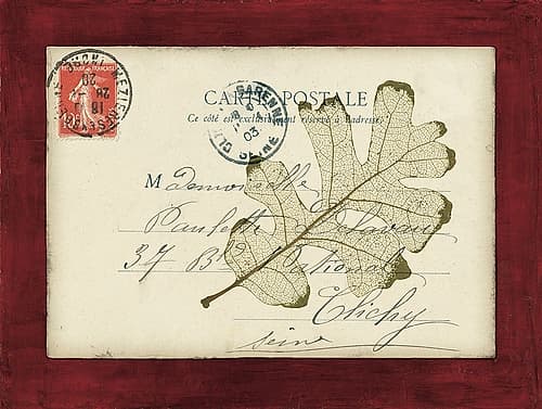 Rose Leaf Envelope Art Print by Booker Morey