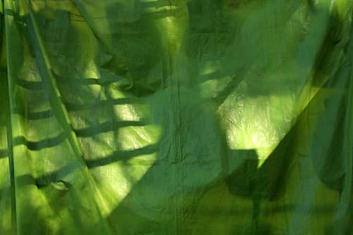 Fresh Green 3 Art Print