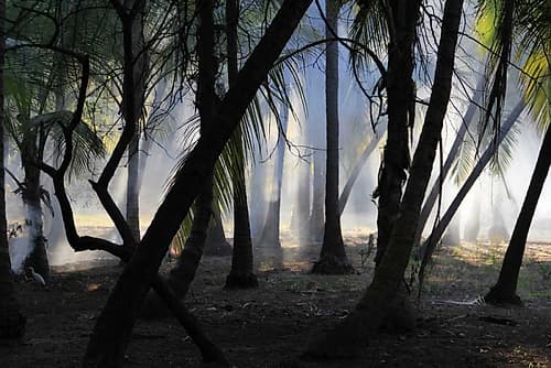 Sunset Enchantment 1 Art Print