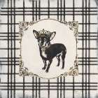 Plaid Chihuahua Art Print