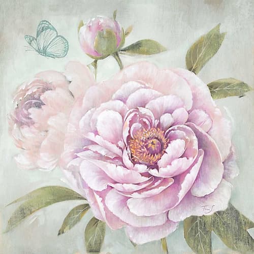 Peony Shimmer Art Print by Stefania Ferri