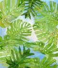 Tropical Greenery Art Print