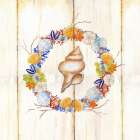 Coastal Wreath and shell 2 Art Print