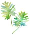 Watercolor Tropical 2 Art Print