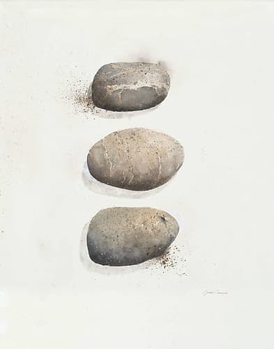 Field Study Stone Art Print by Jurgen Gottschlag