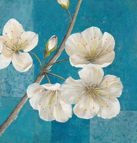 Blossom Bough Art Print by Jurgen Gottschlag