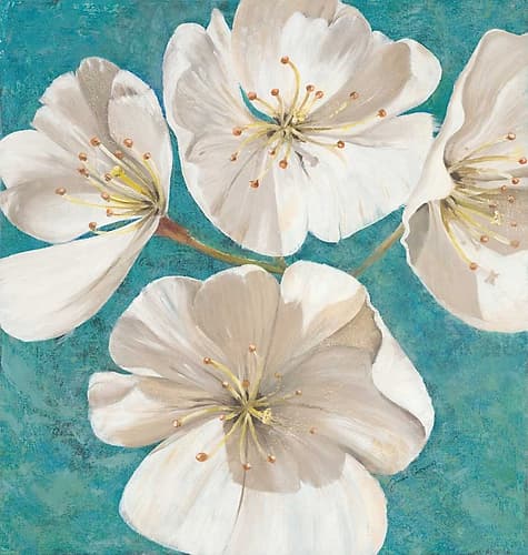 Blossom Beauty Art Print by Jurgen Gottschlag
