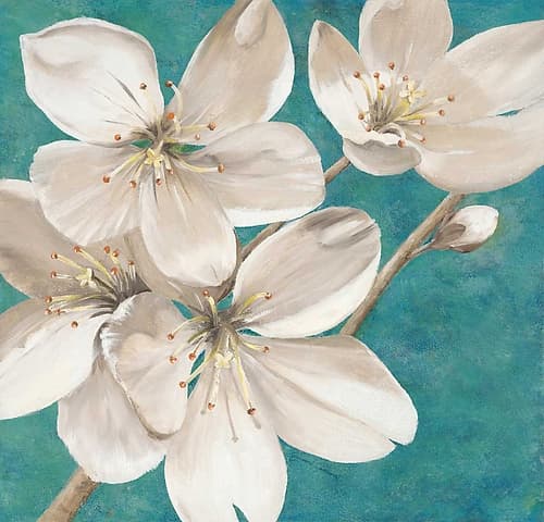 Blossom Bounty Art Print by Jurgen Gottschlag