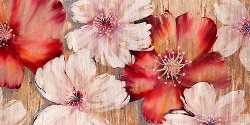 Barnwood Blossoms Art Print by Jurgen Gottschlag