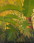 Sunshine Tropics 1 Art Print