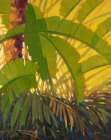 Sunshine Tropics 2 Art Print