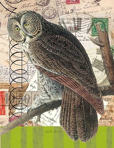 Curious Owl 1 Art Print by Marilyn Robertson