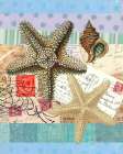 Starfish Elements Art Print