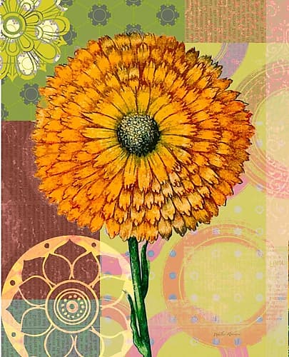 Zinnia Story Art Print