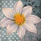 Polka Dot Dahlia 1 Art Print