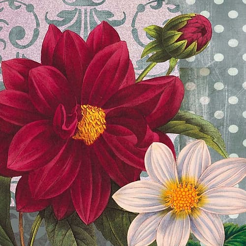 Red Dahlia Art Print by Marilyn Robertson