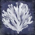 Seaweed Document 3 Art Print