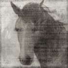 Equestrian Story 2 Art Print