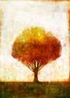 Autumnal Tree 2 Art Print
