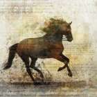 Horse Dance 1 Art Print
