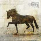 Horse Dance 2 Art Print
