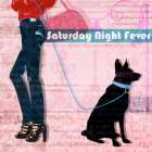 Saturday Night Art Print