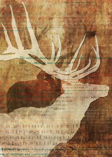 Stag Story 1 Art Print