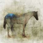 Lone Star 1 Art Print