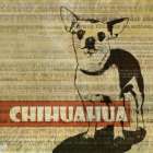 Chihuahua Sketch Art Print